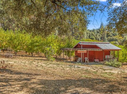 1560 State Highway 49, Placerville, CA 95667 Photo