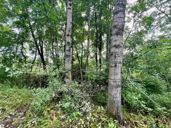 Camburn Street, Stanton, MI 48888