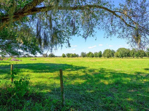 10650 BRENDLE ROAD , MYAKKA CITY, FL 34251