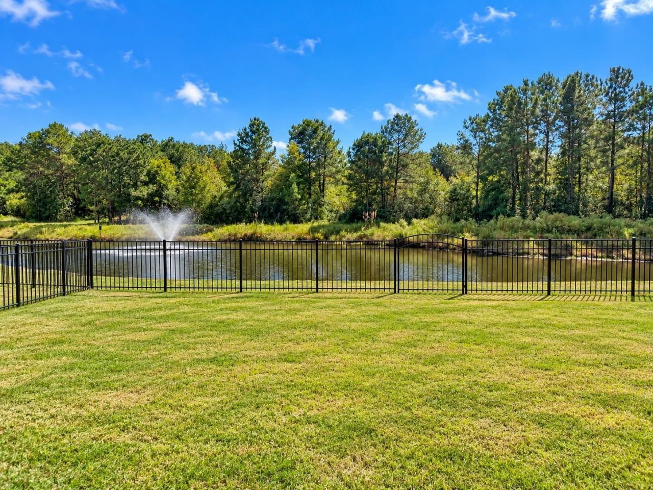 293 Calhoun Falls Dr. Photo 25