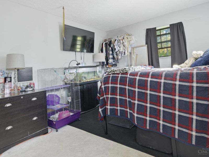 227 Oak Street, Loveland, OH 45140 Photo 20