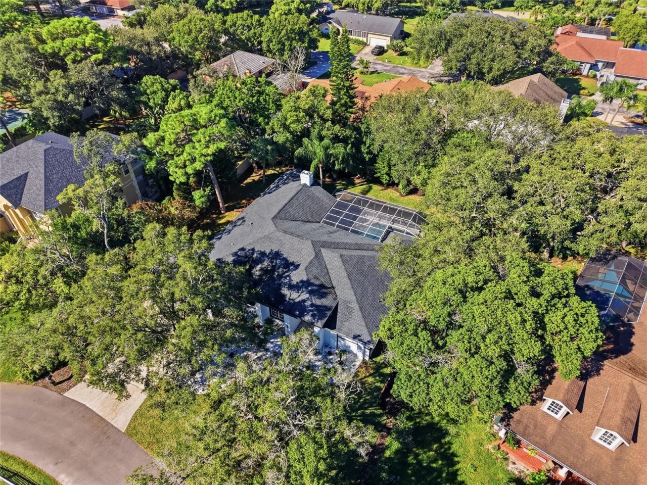 1980 Mac Gregor Road, Tarpon Springs, FL 34689 Photo