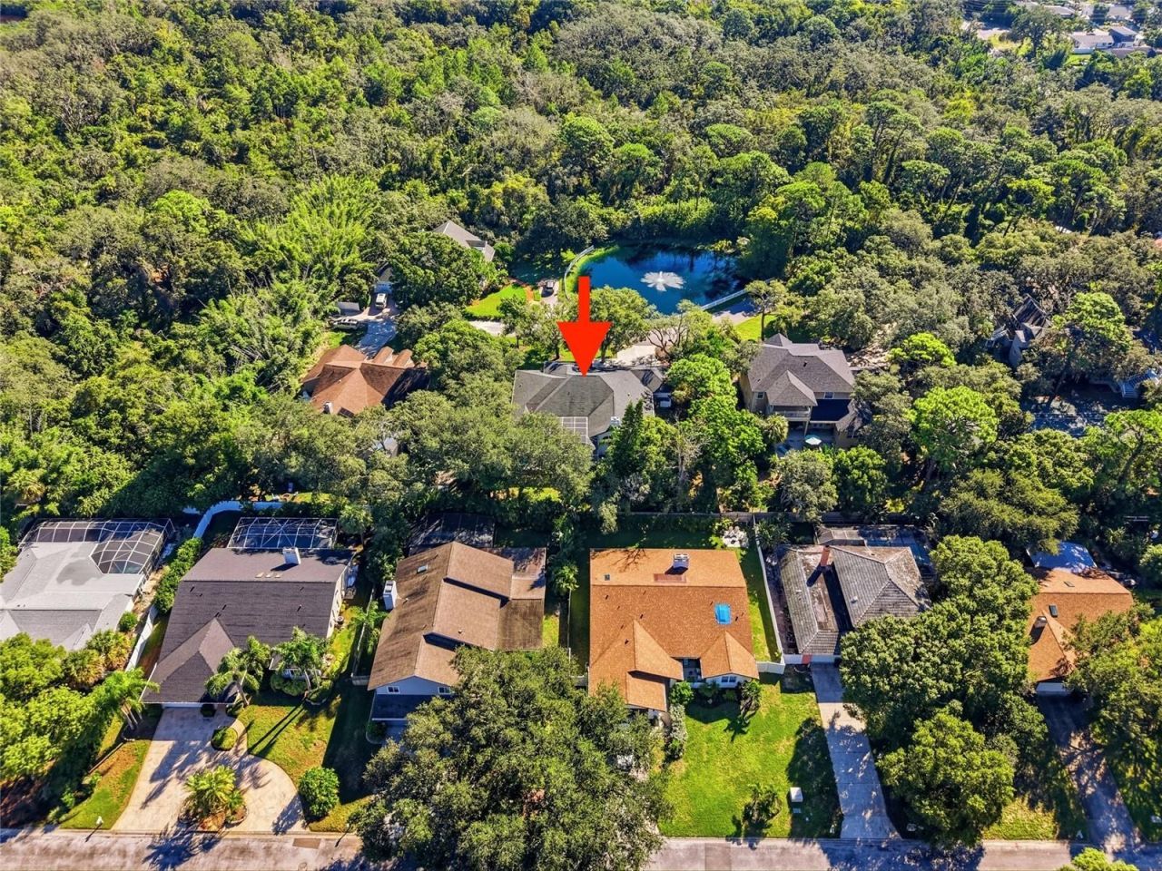 1980 Mac Gregor Road, Tarpon Springs, FL 34689 Photo