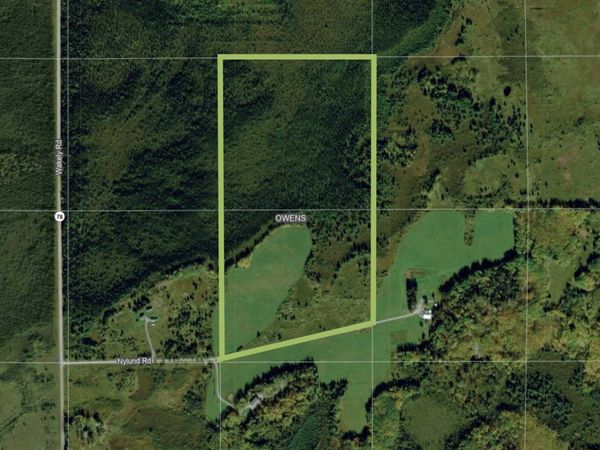 TBD Nylund Road , Cook, MN 55723