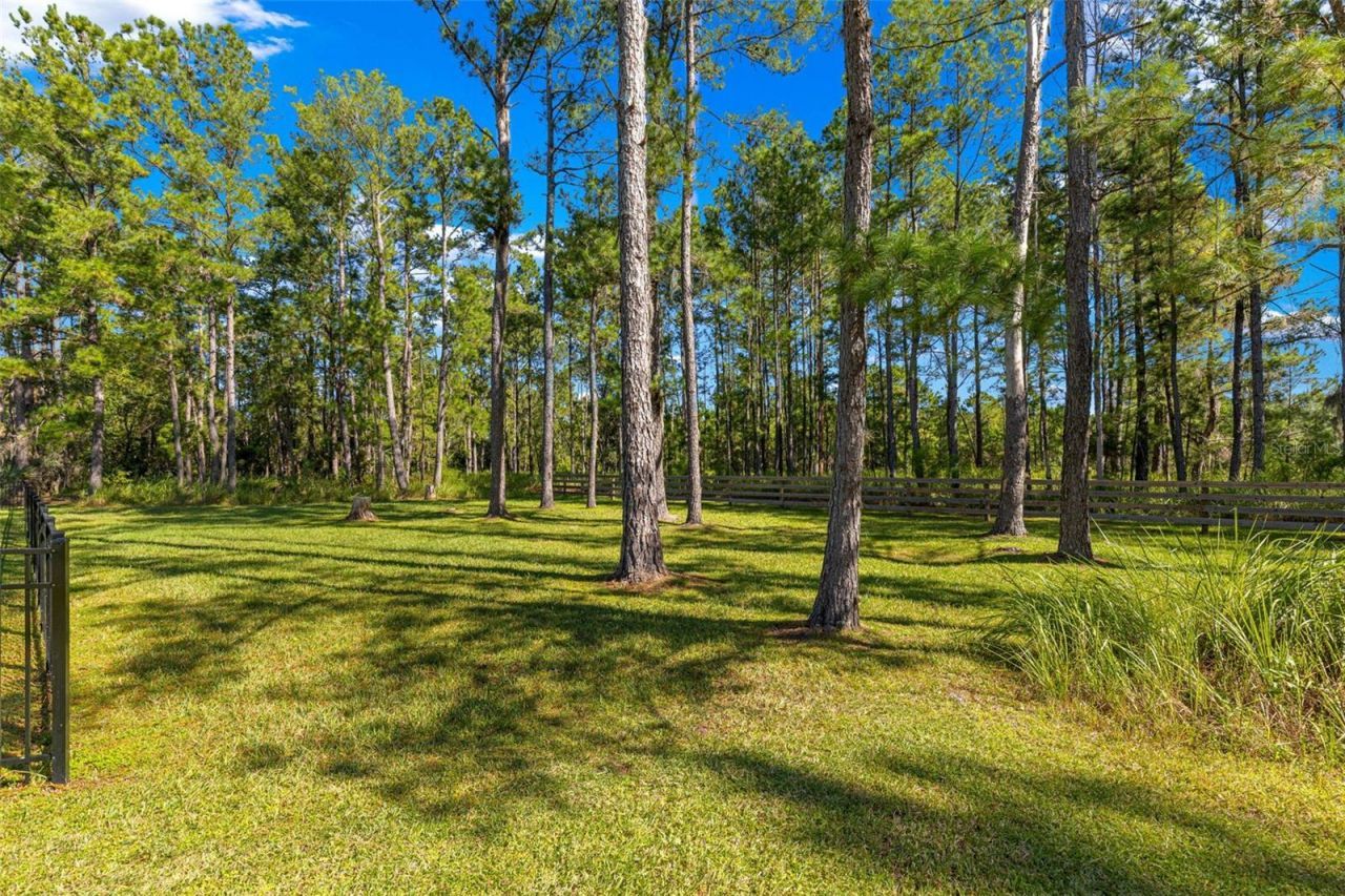 19 Sunrise Court, Ocala, FL 34472 Photo
