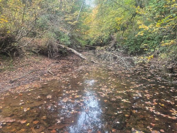 Lot 4 Freedom Ridge Ln, Crossville, TN 38572