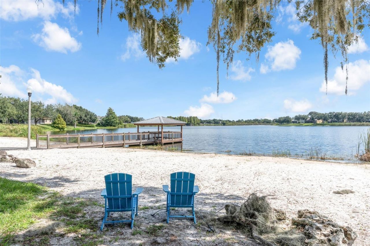 4936 Wise Bird Drive , Windermere, FL 34786 Photo