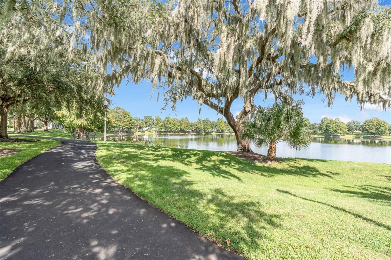 4936 Wise Bird Drive , Windermere, FL 34786 Photo