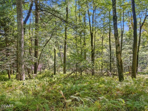 PARCEL 4 COPELAND SPRING Trail , Allensville, PA 17002