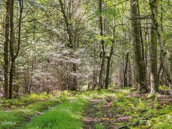 PARCEL 2 COPELAND SPRING Trail , Allensville, PA 17002