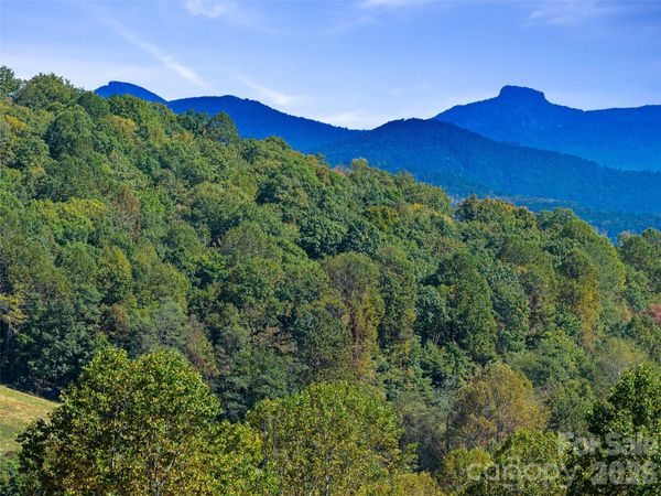 TBD Chestnut Grove Road , Spruce Pine, NC 28777