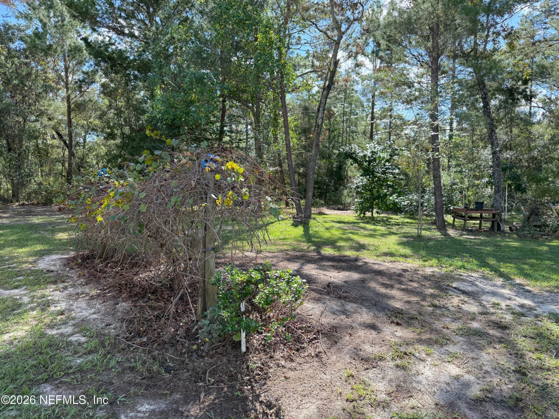 6035 Oak Leaf Road, Keystone Heights, FL 32656 Photo
