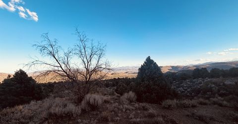 1275 Slate Road, Topaz Ranch Estates, NV 89444 Photo