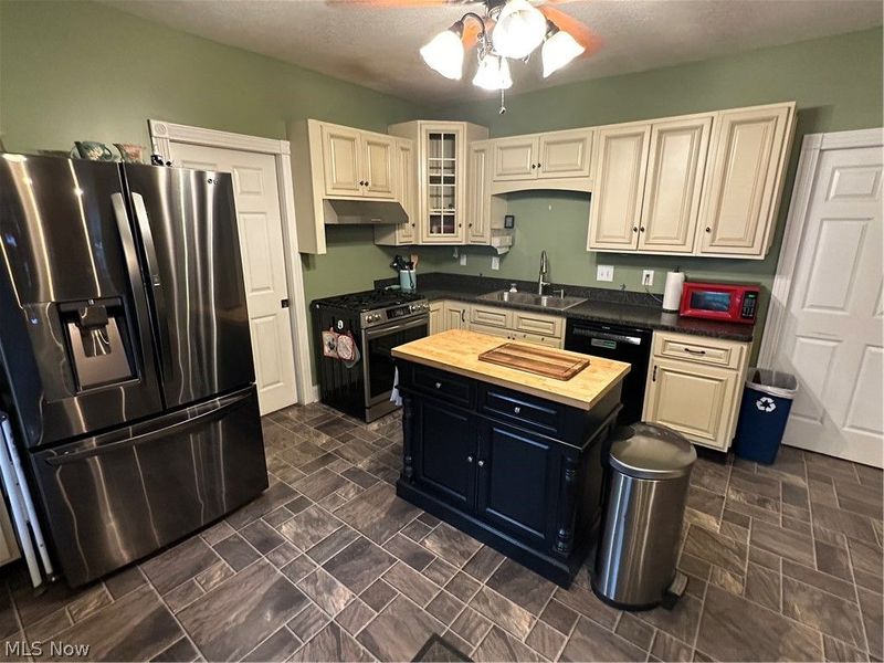 117 Magyar Street, Wellington, OH 44090 Photo 11