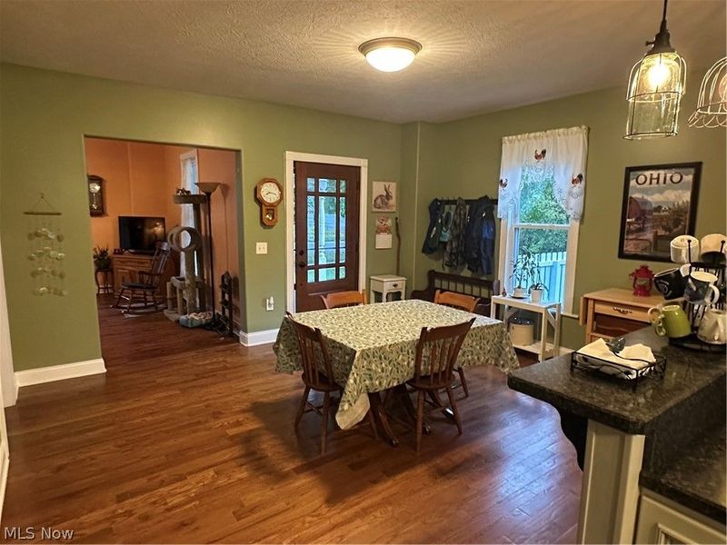 117 Magyar Street, Wellington, OH 44090 Photo 8