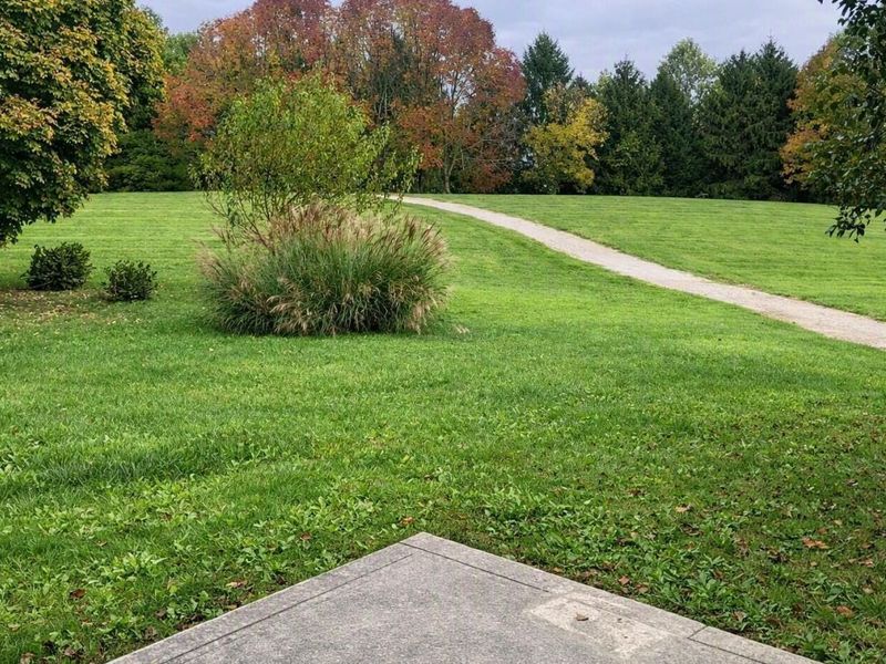 7279 Summerfield Drive, Lewis Center, OH 43035 Photo 2