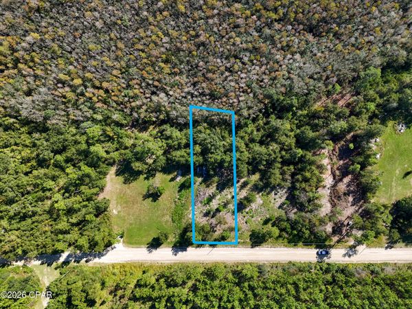 00000 Dead Lakes Drive , Wewahitchka, FL 32465