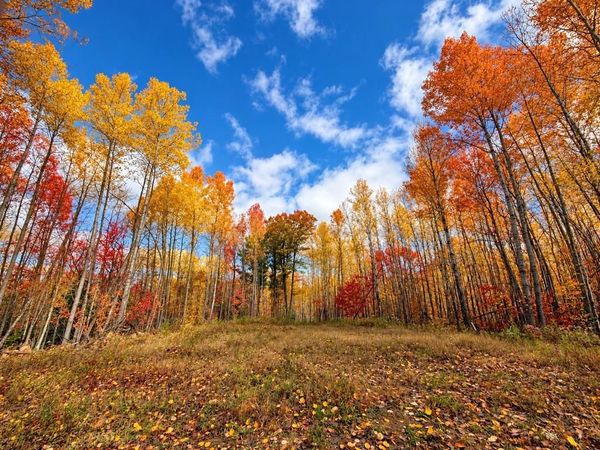 PARCEL 2 County Road A, Solon Springs, WI 54873
