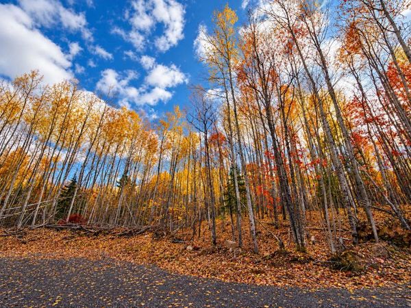 PARCEL 3 County Road A , Solon Springs, WI 54873