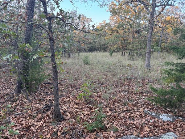 0000 Rodeo Drive , Skiatook, OK 74070