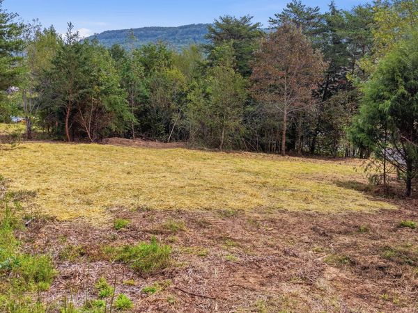 Tract 1b Cloverdale Road, Rising Fawn, GA 30738