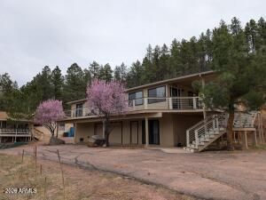 9841 W JUNIPER Road, Pine, AZ 85544