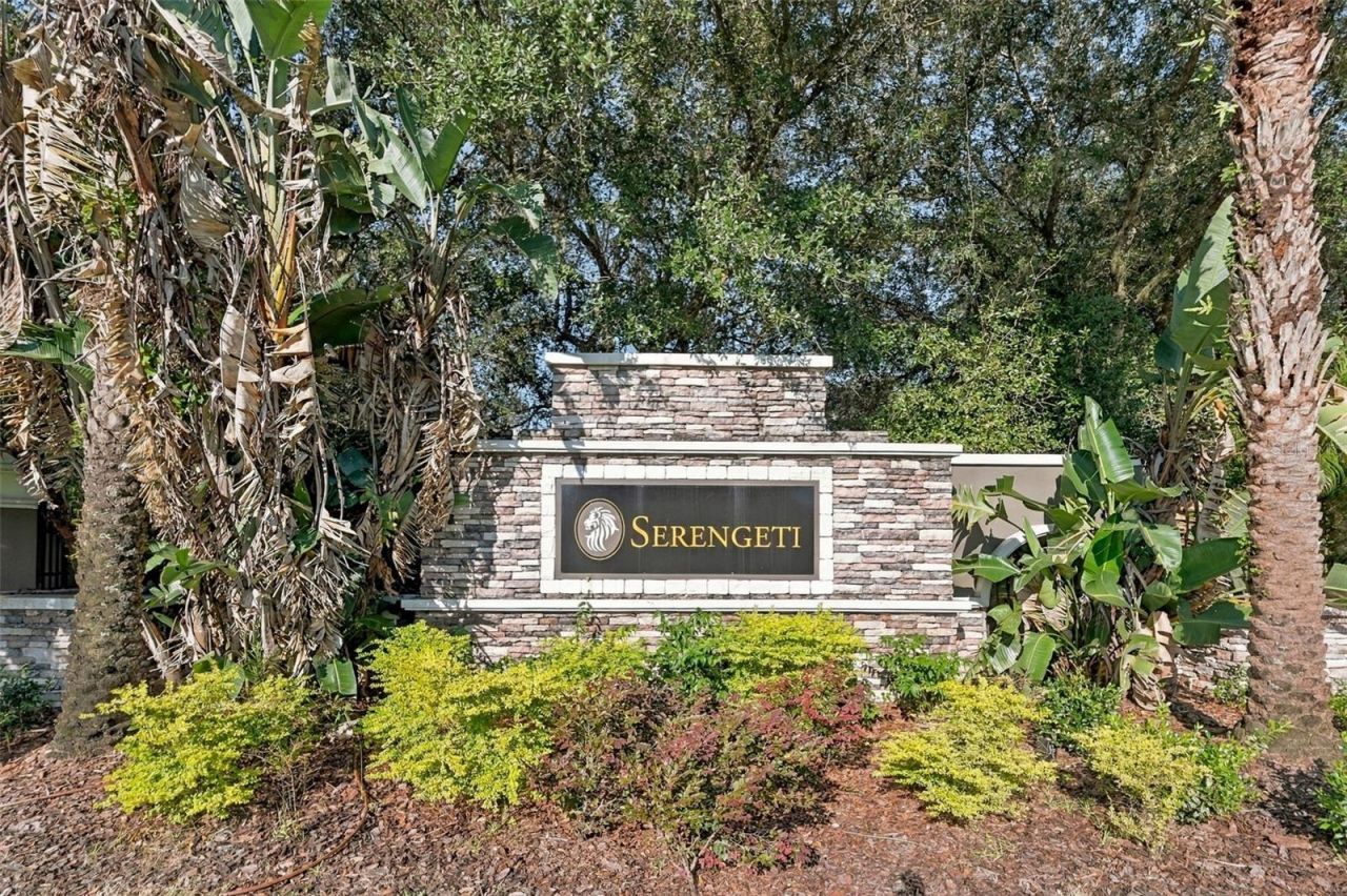 12820 Seronera Valley Court, Spring Hill, FL 34610 Photo