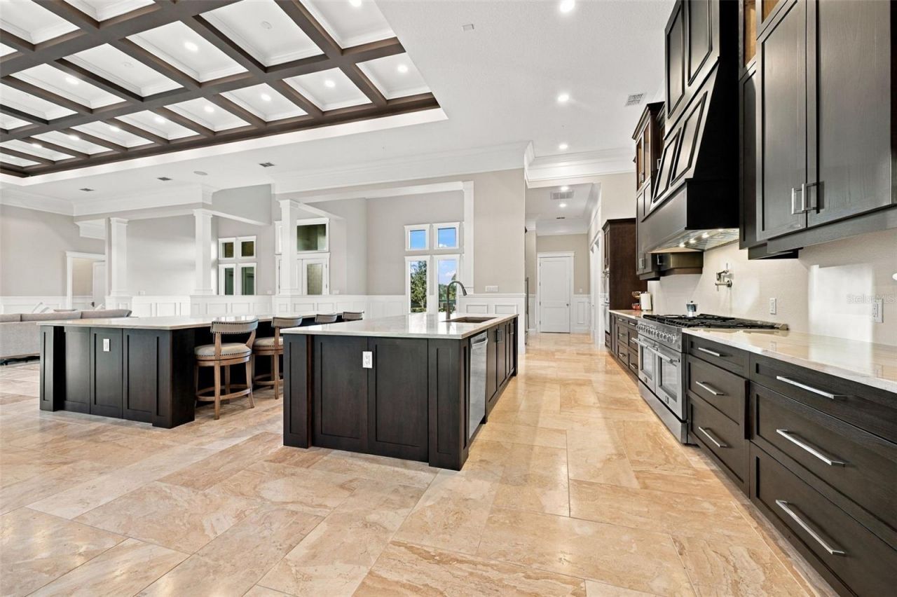 12820 Seronera Valley Court, Spring Hill, FL 34610 Photo