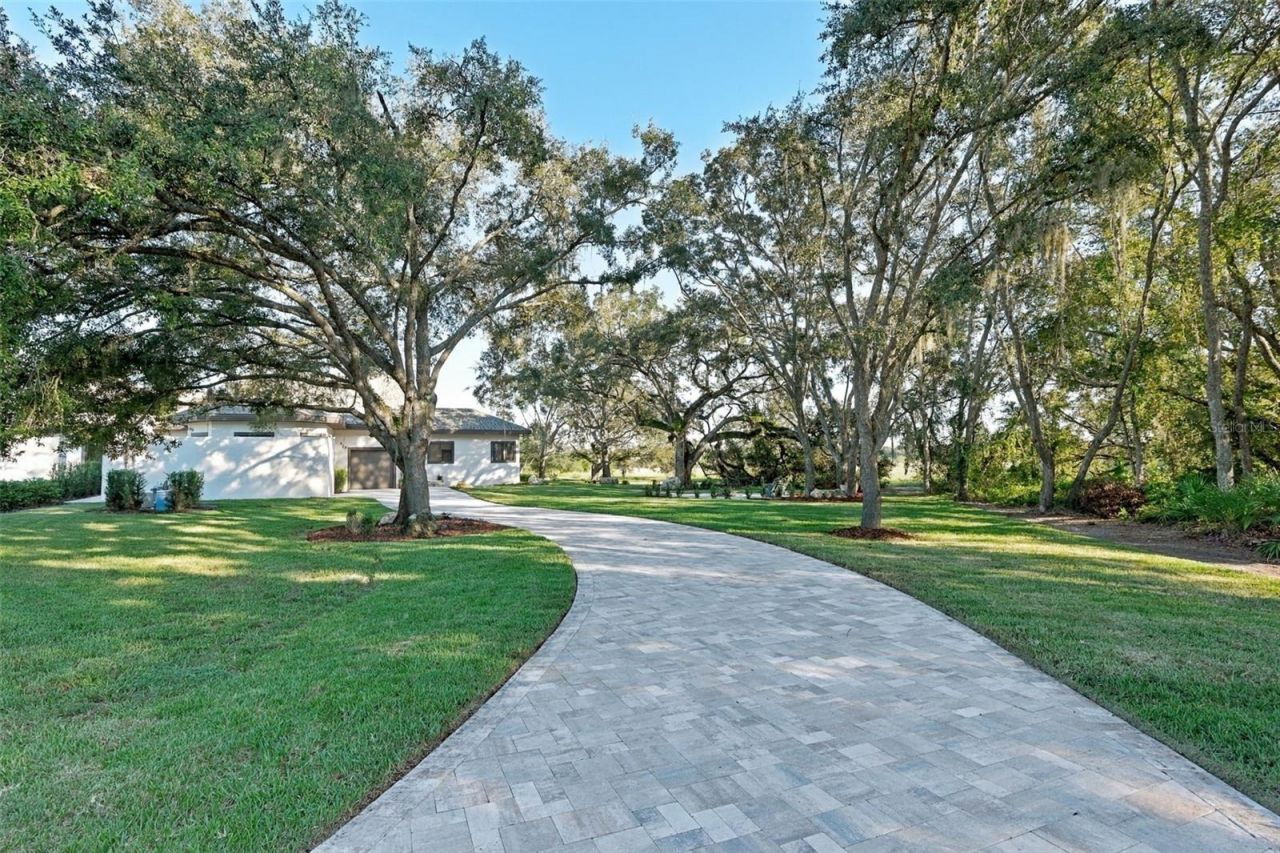 12820 Seronera Valley Court, Spring Hill, FL 34610 Photo