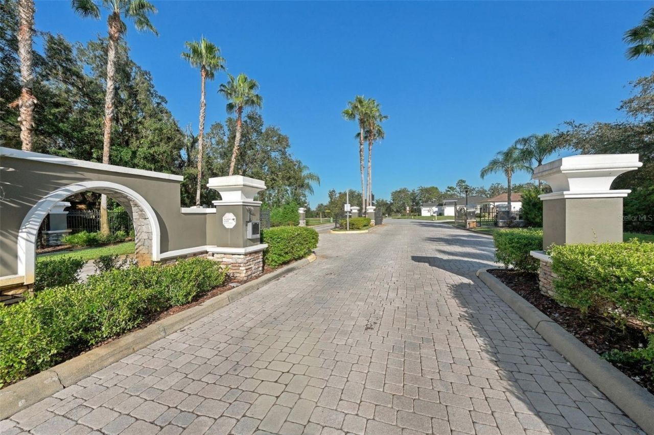 12820 Seronera Valley Court, Spring Hill, FL 34610 Photo