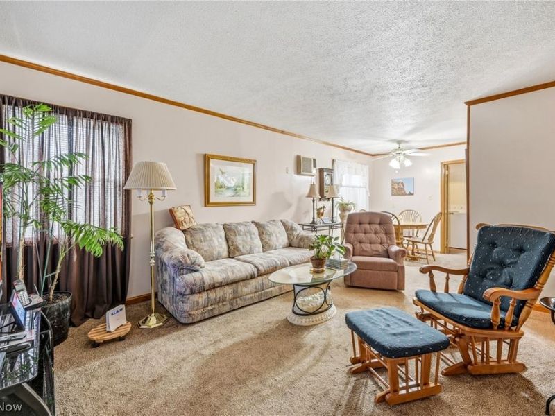 7539 Glenwood Avenue, Boardman, OH 44512 Photo 4