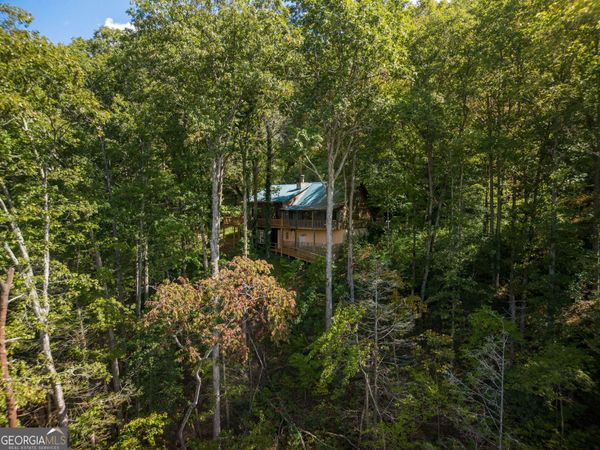 808 Mill Stone Mountain, Blue Ridge, GA 30513