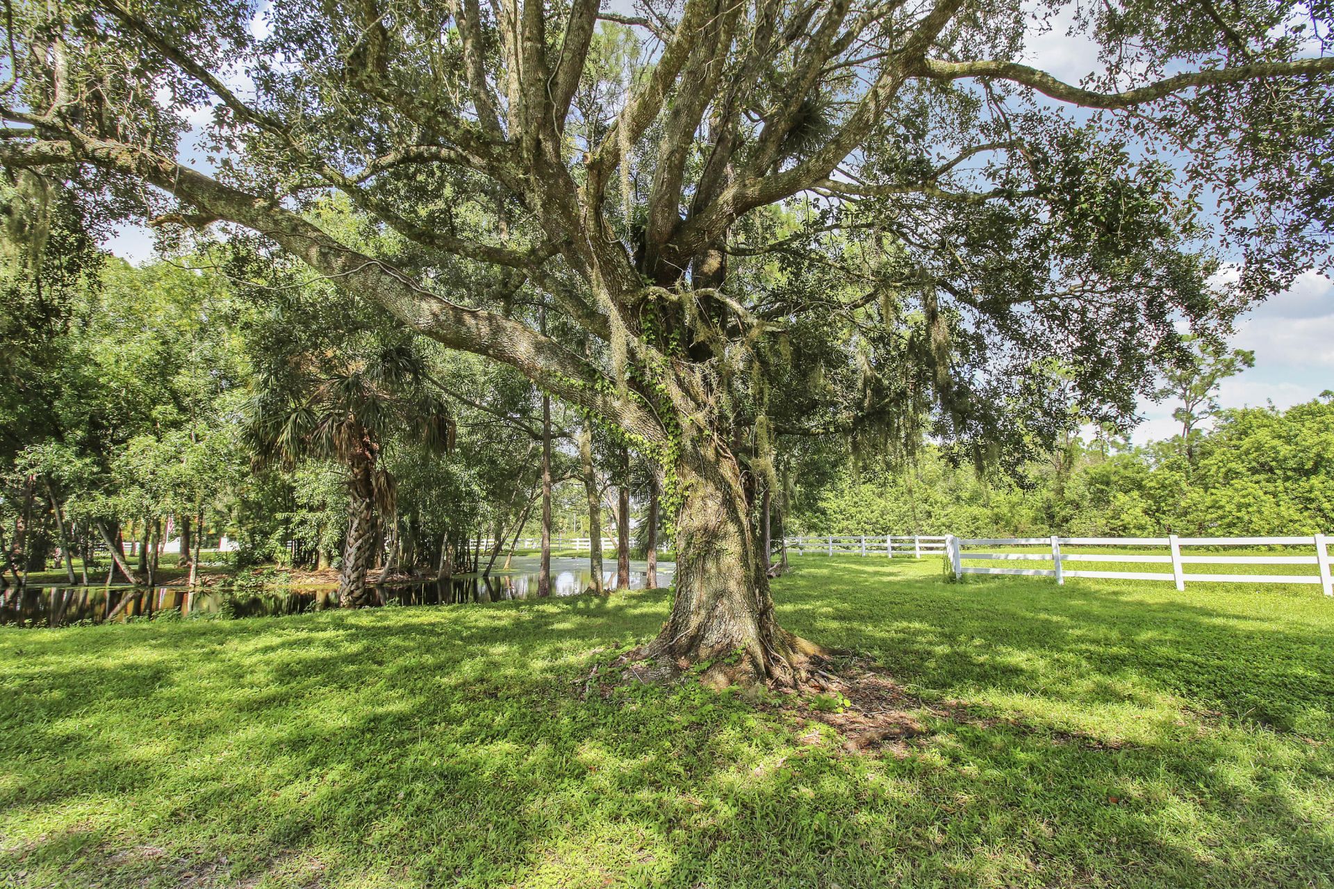 17058 Alexander Run, Jupiter, FL 33478 Photo