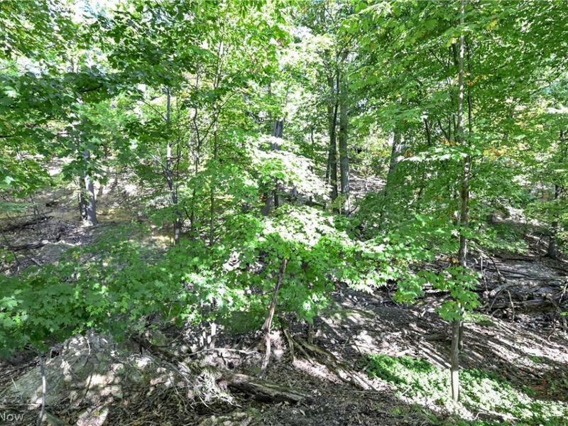 3240 Forest Overlook Drive, Seven Hills, OH 44131 Photo 42
