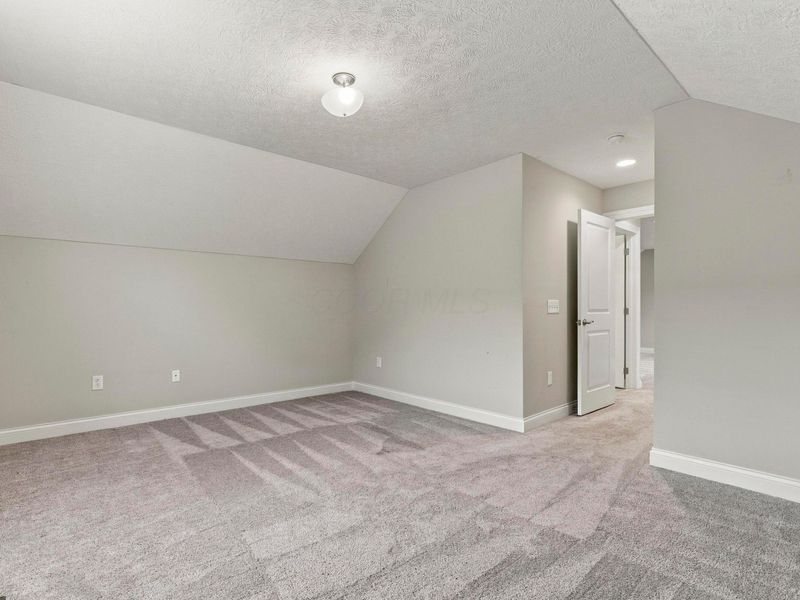 10769 Dunraven Lane, Dublin, OH 43017 Photo 47