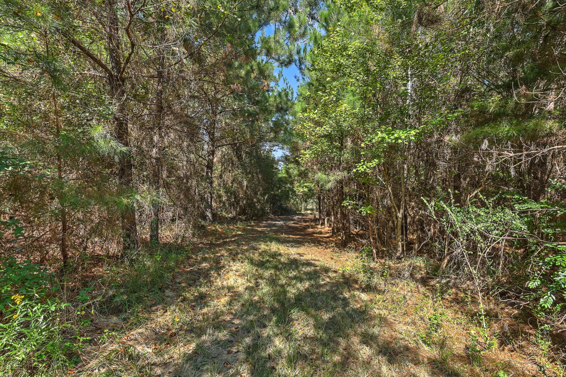 9750 Cottageville Highway Photo 11