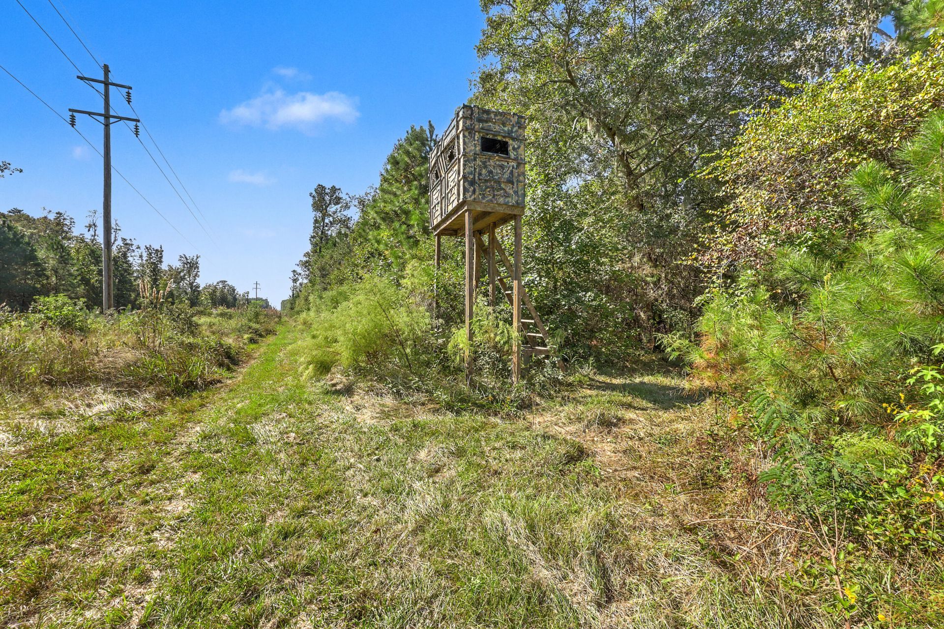 9750 Cottageville Highway Photo 12