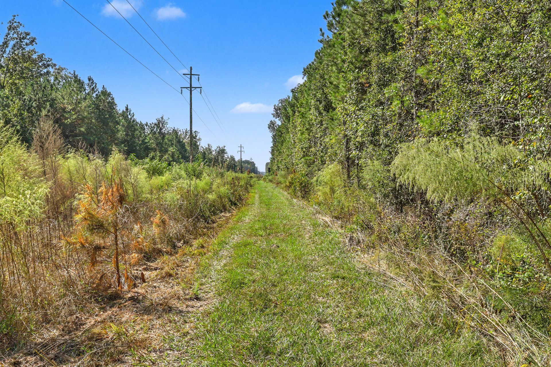 9750 Cottageville Highway Photo 13