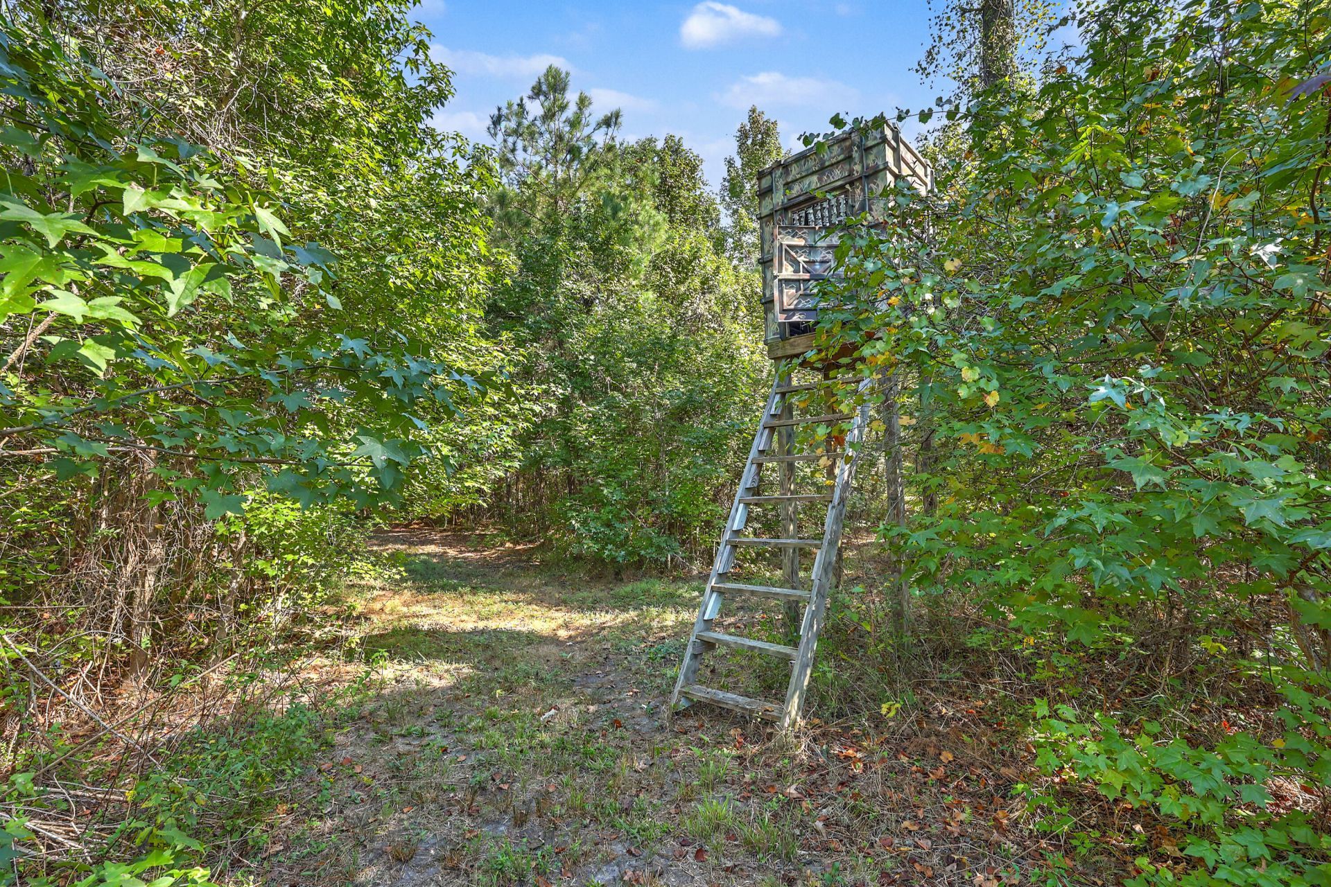 9750 Cottageville Highway Photo 14