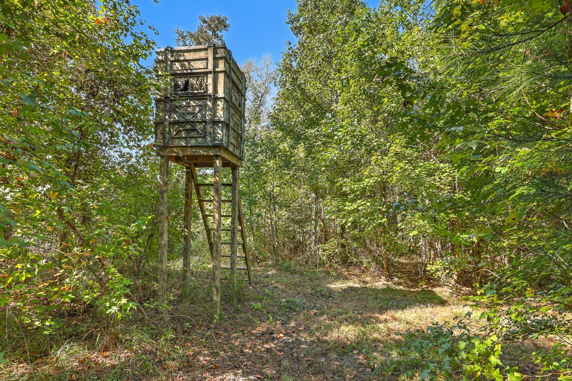9750 Cottageville Highway Photo 15