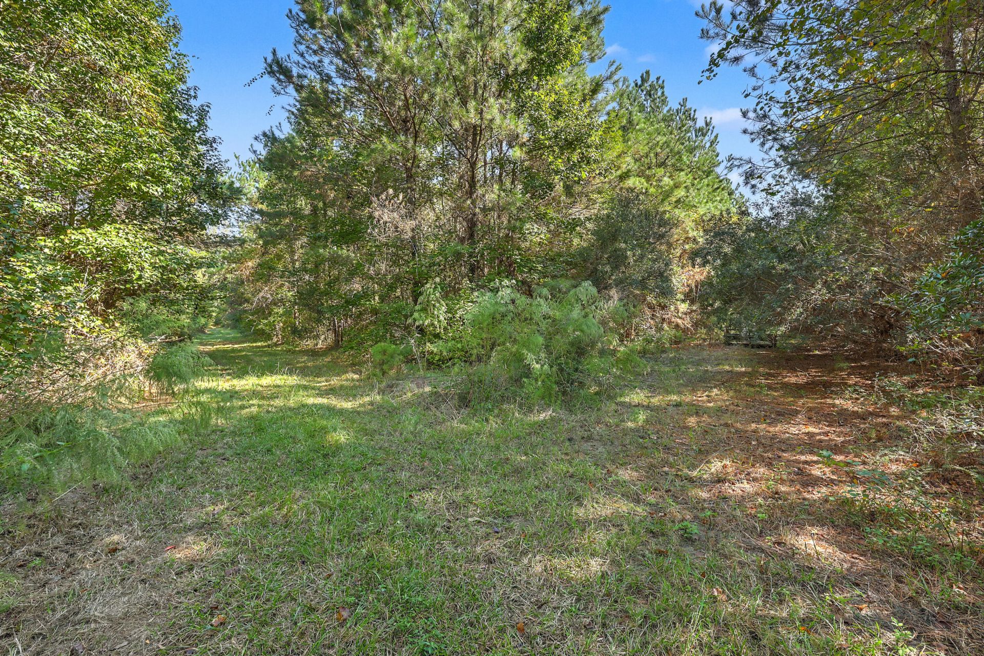 9750 Cottageville Highway Photo 17