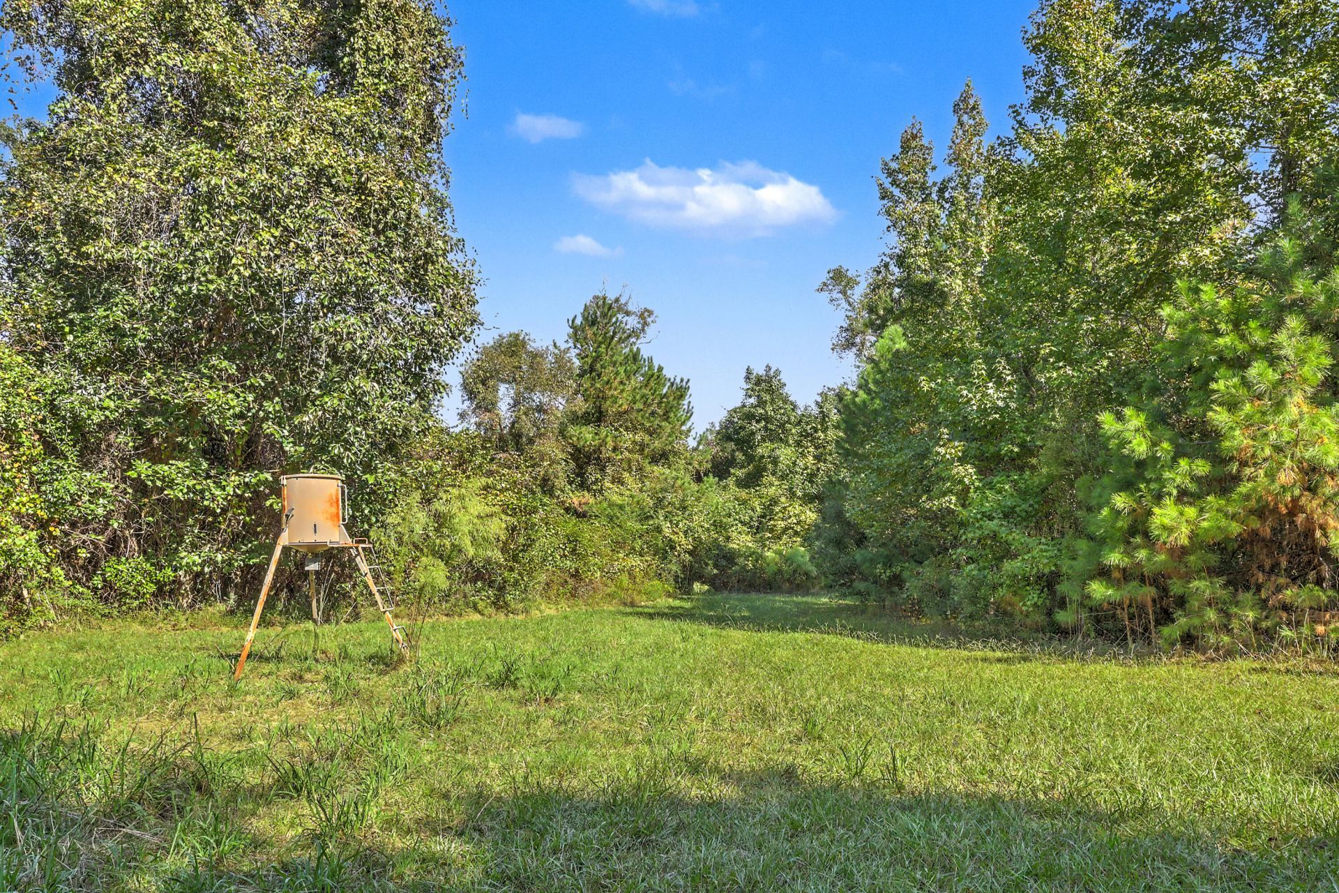 9750 Cottageville Highway Photo 19