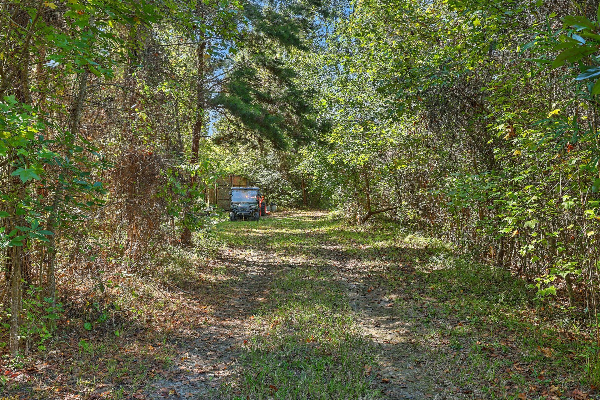 9750 Cottageville Highway Photo 21