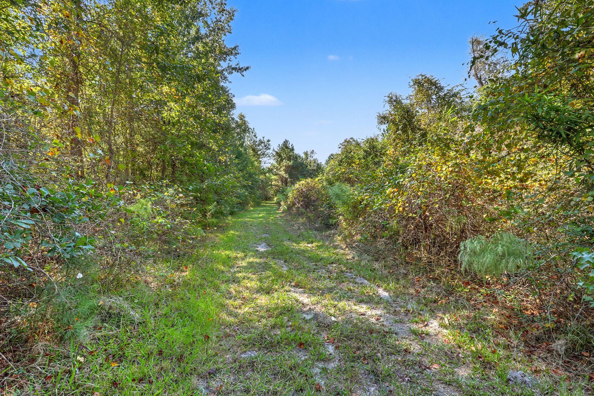 9750 Cottageville Highway Photo 22