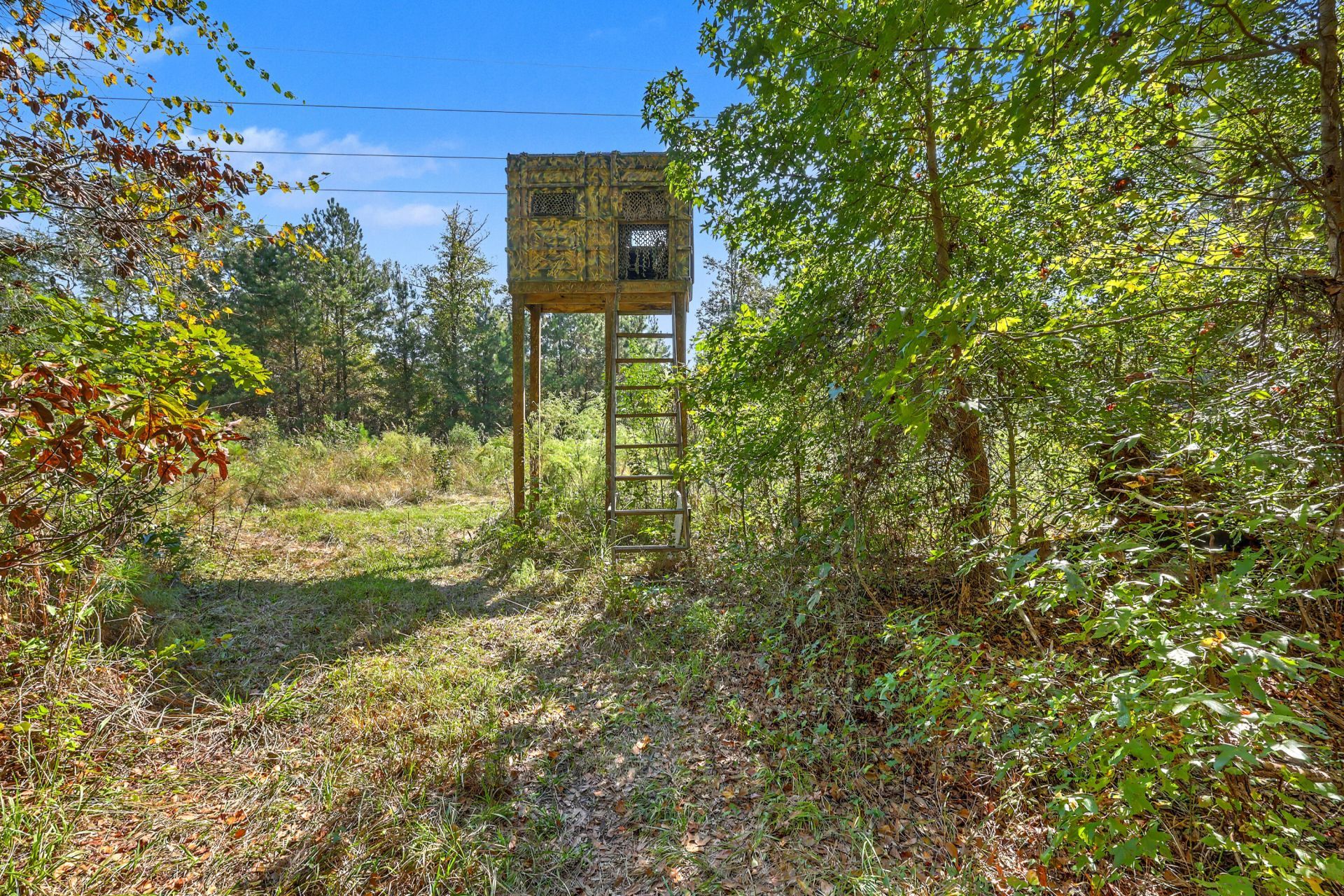 9750 Cottageville Highway Photo 23
