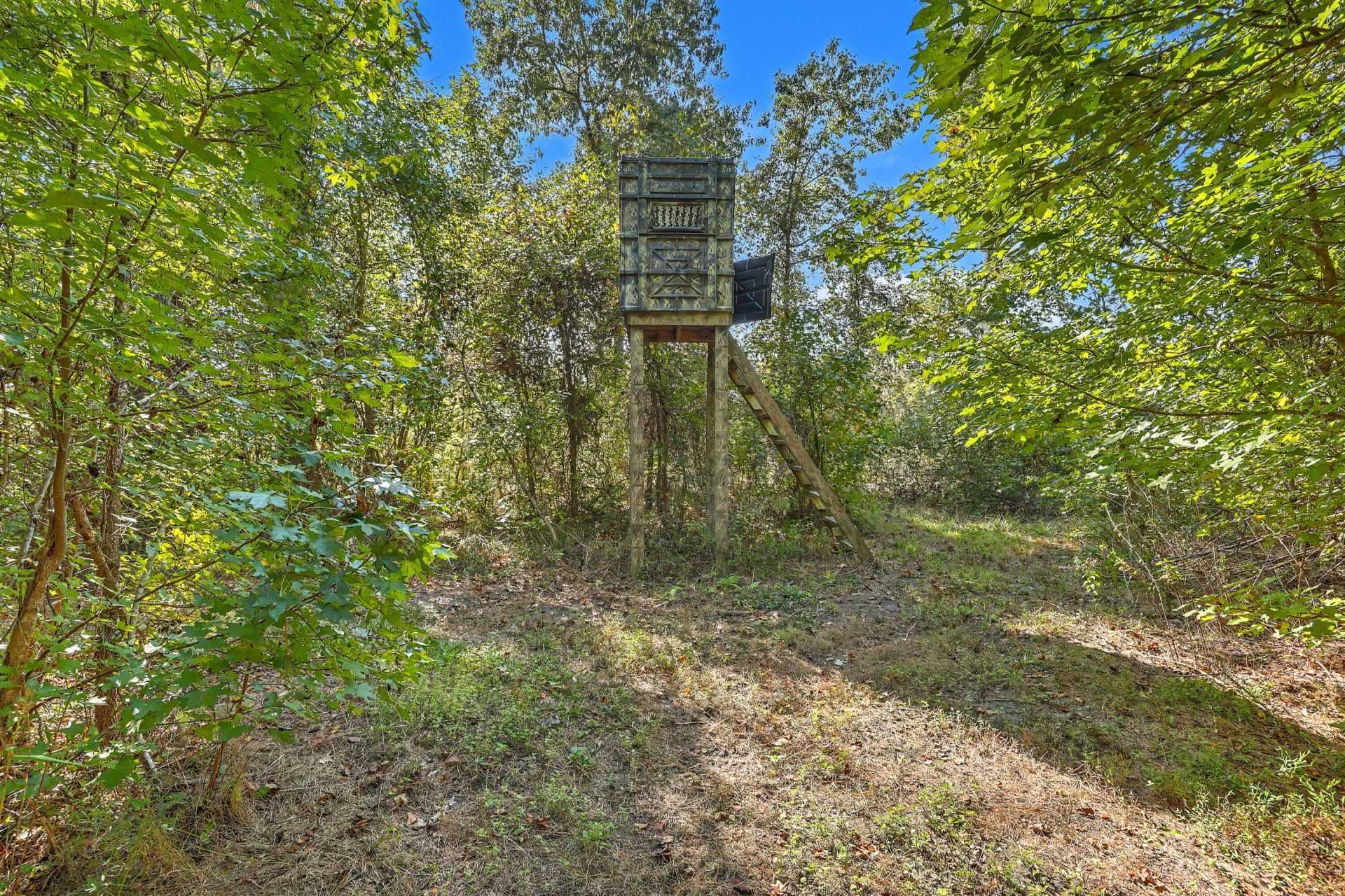 9750 Cottageville Highway Photo 26