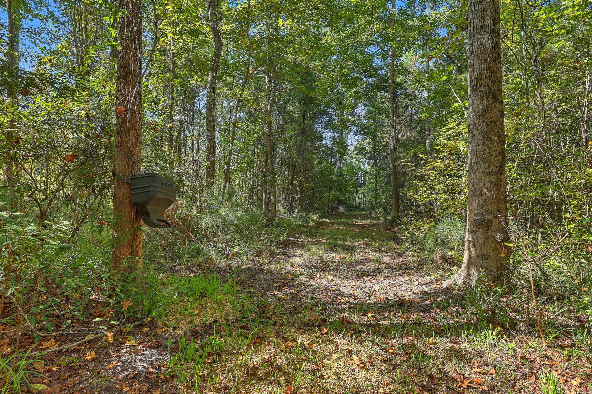 9750 Cottageville Highway Photo 27