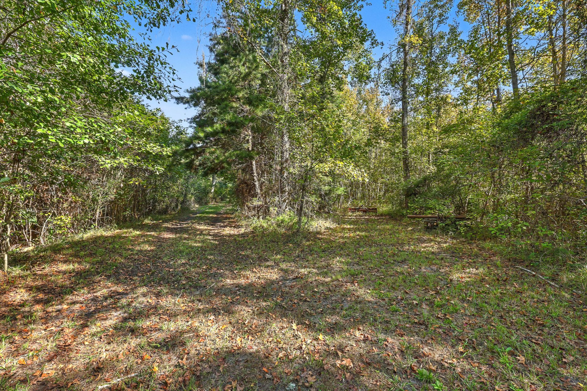 9750 Cottageville Highway Photo 31