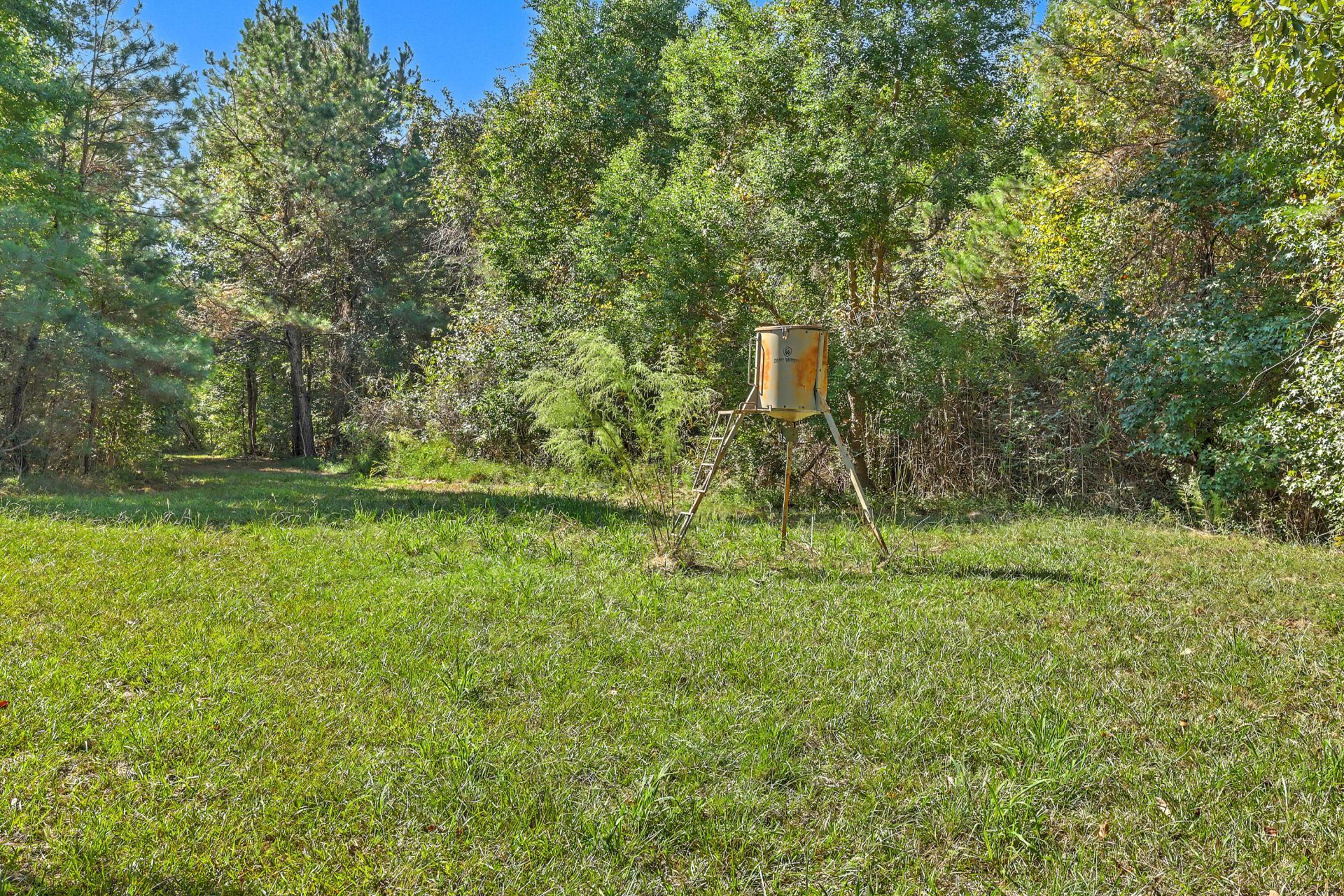9750 Cottageville Highway Photo 33