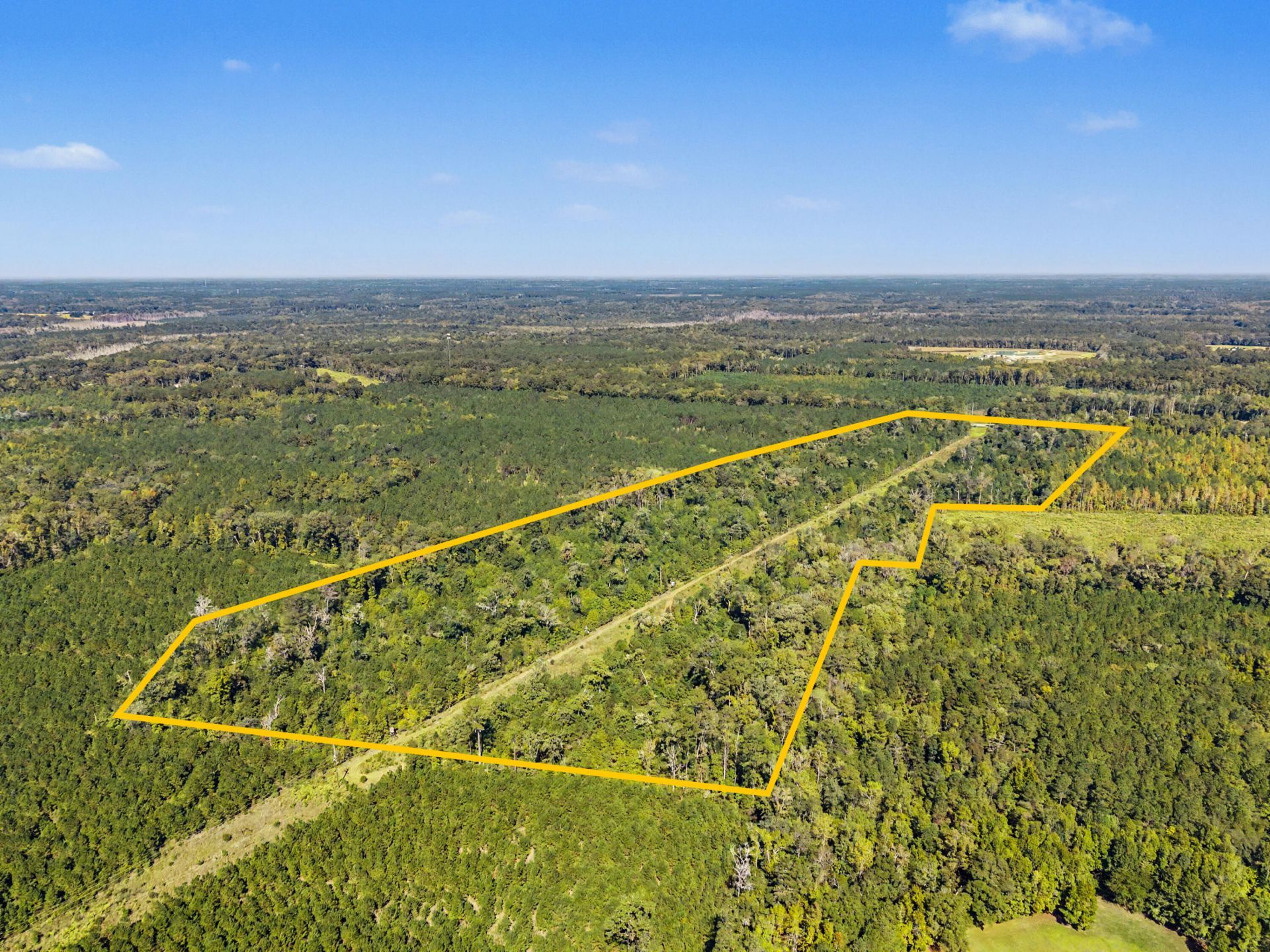 9750 Cottageville Highway Photo 35